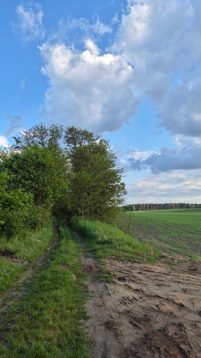 Działki budowlane na sprzedaż