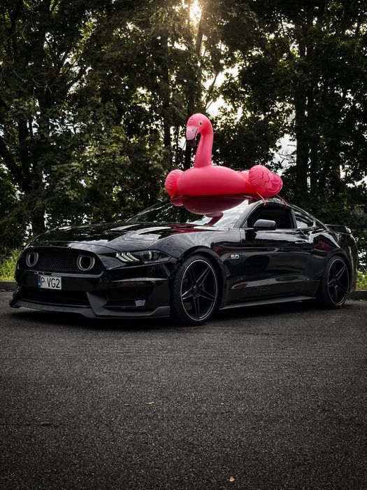 Ford Mustang Ford Mustang GT PP / Stan Idealny