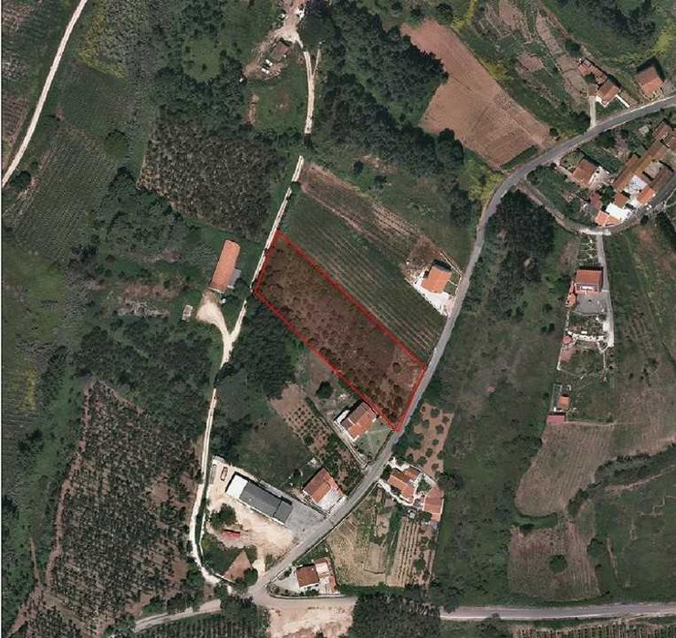 Terreno com projecto aprovado Moradia T4 Alvorninha Caldas da Rainha