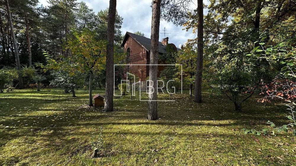 Продажа участка в сосновом лесу 52 сотки Козин Пятихатки без комиссии