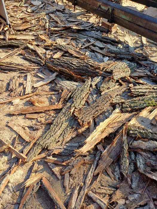 Sprzedam korę dębową