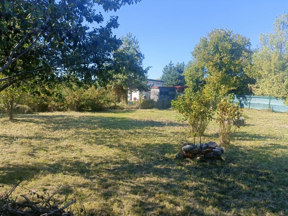 Działka ROD Górnik - Widok 4