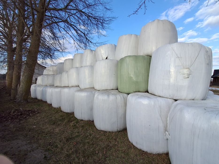 sprzedam sianokiszonke 150zł/do negocjacji