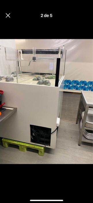 Aquario moderno de marisco de 120/120