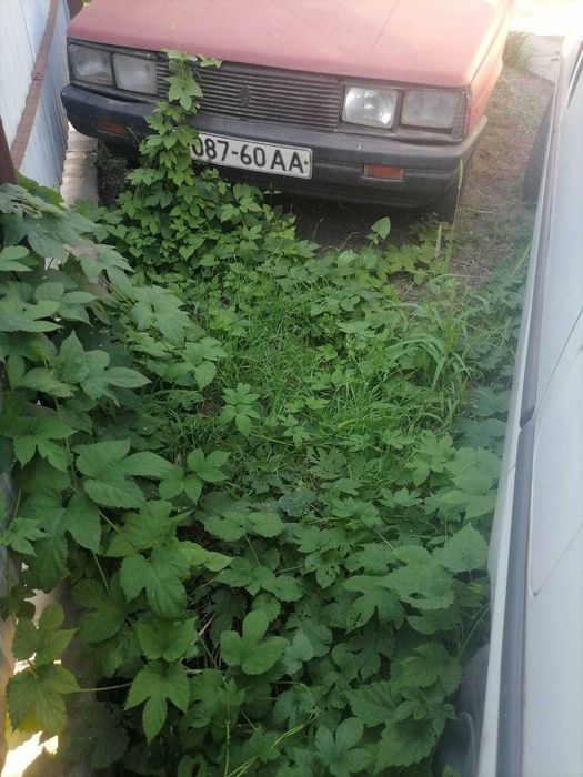 Автомобиль  Рено 11 1984 год дизель