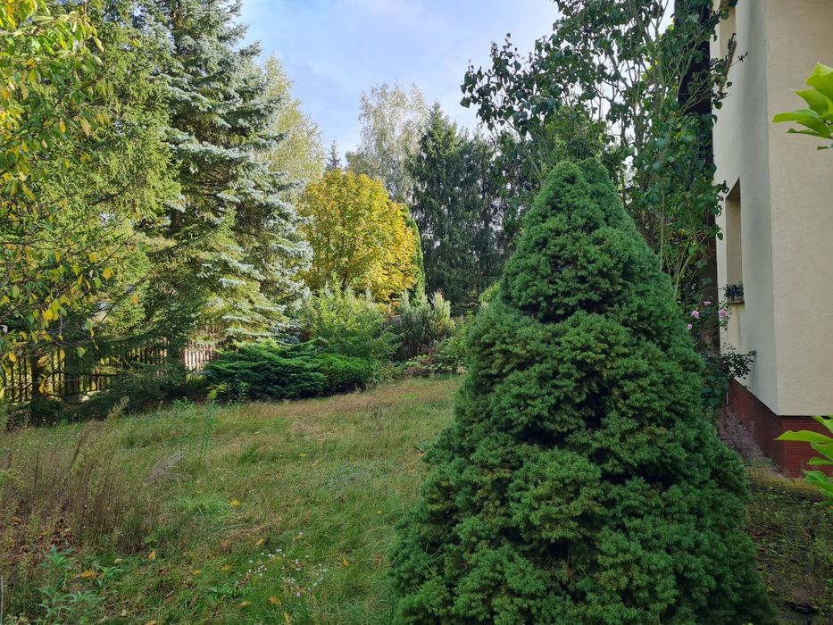 Zdjęcie 3