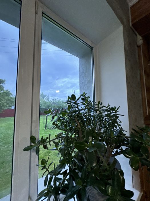 Свободный!Отдельностоящий двухэтажный дом!Свой двор!Есть генератор!