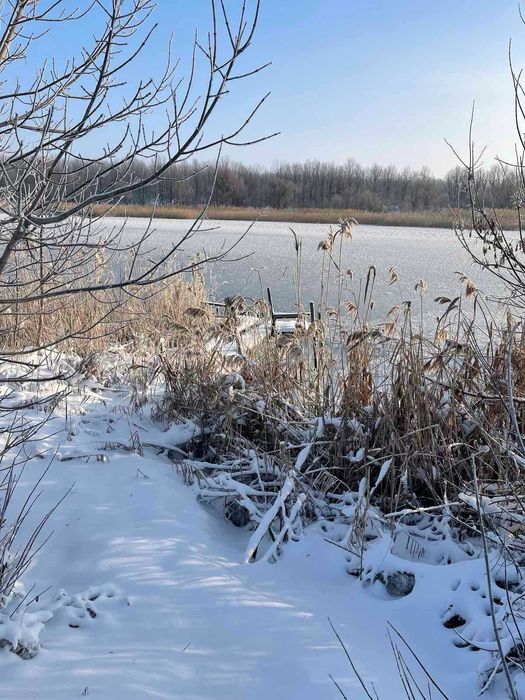 Продам дом на берегу Днепра, с. Терновка