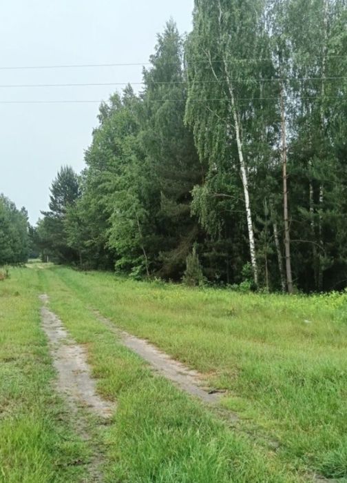 Działka rekreacyjna las staw 1,26Ha