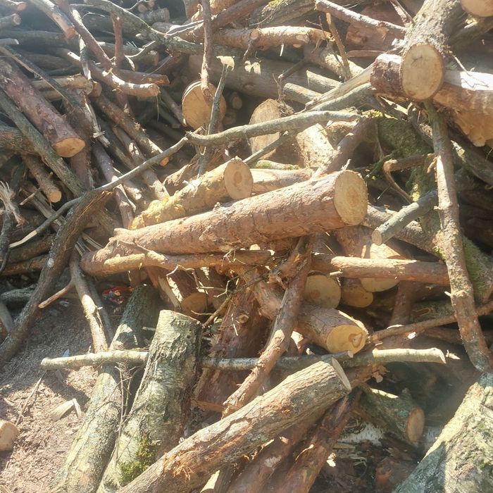 Sprzedam drzewo mieszane