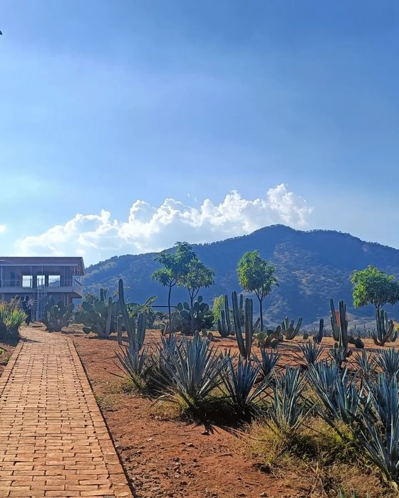 Hiszpański korepetycje