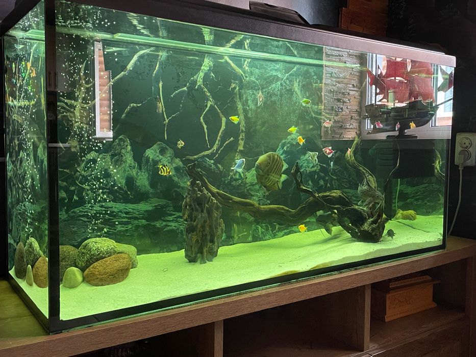 Продам аквариум .