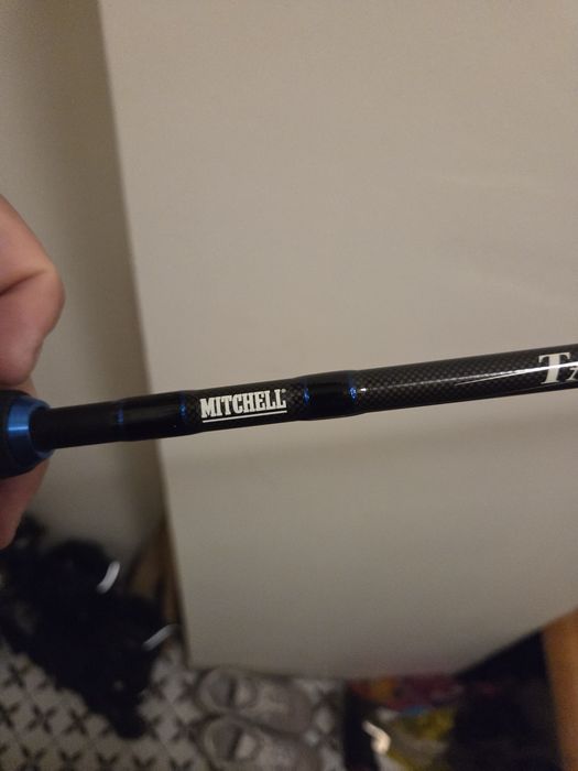 Wędka mitchell tanager