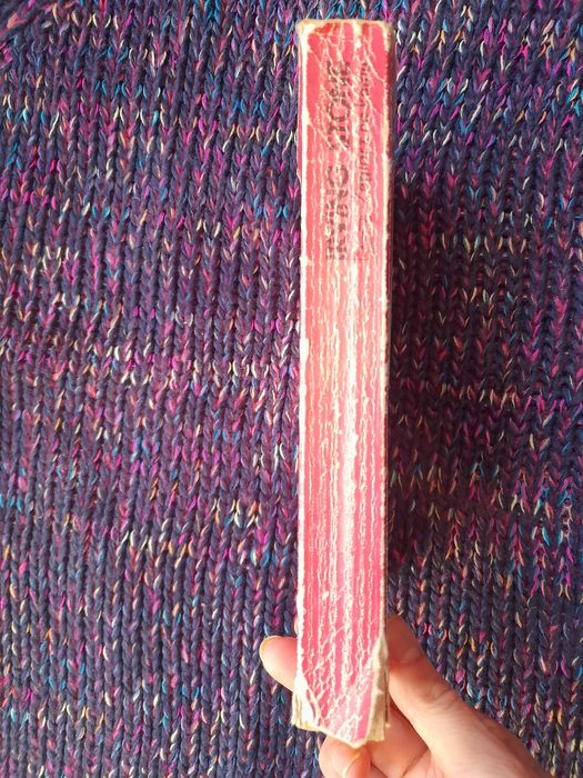 Żeglarz na koniu Irving Stone 1976r