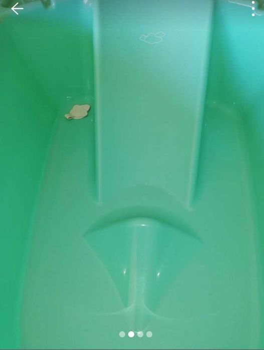 Banheira bebê. Cor verde