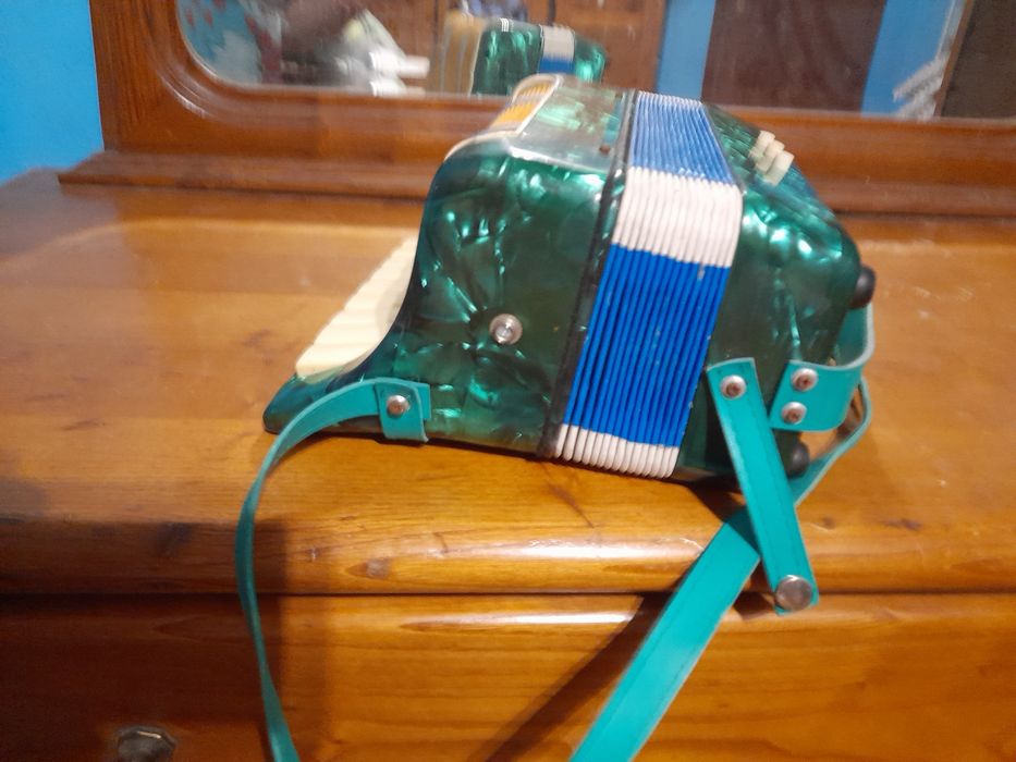 acordeon em bom estado como se encontra-se nas fotografias
