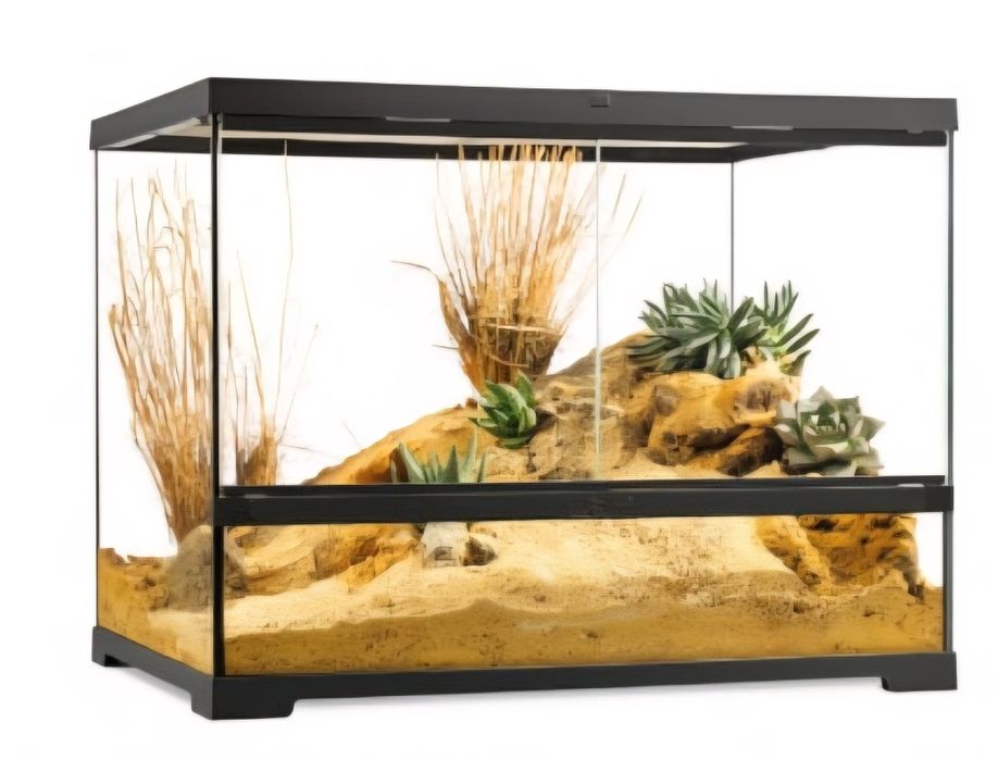 Terrarios novos varios modelos