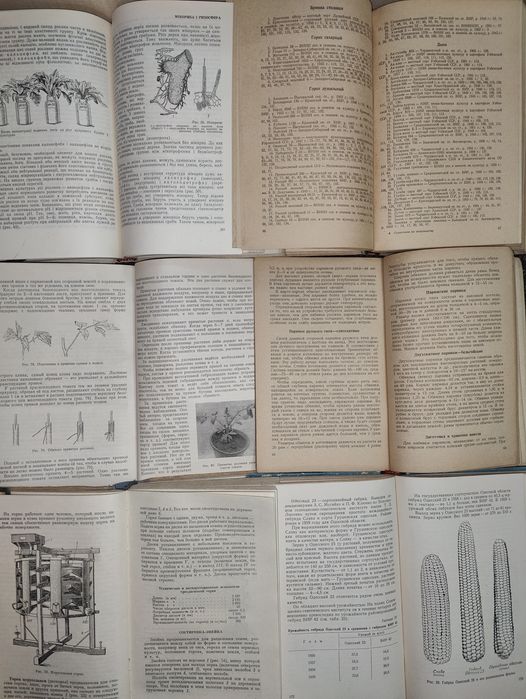 набор книг Фармакогнозия. Овощеводство. Анализ почв. Сорт и семена