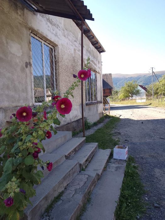 ДІЮЧИЙ магазин Продаж Туристична зона