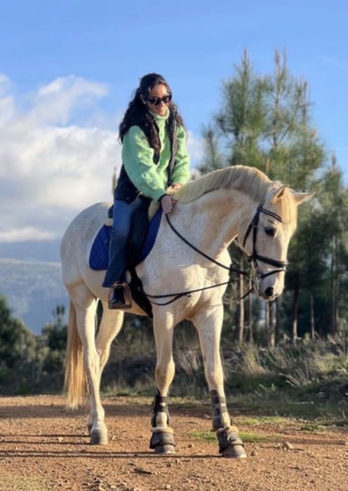 Cavalo Luso-Árabe linha Magic Count