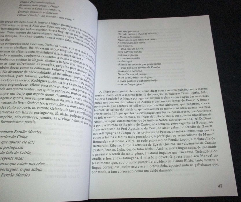 Livro Dicionário de Temas e Poemas António Manuel Couto Viana