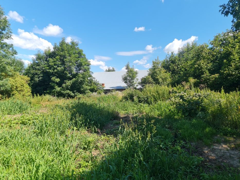 Dom – Witkowice, powiat stalowowolski - Widok 5