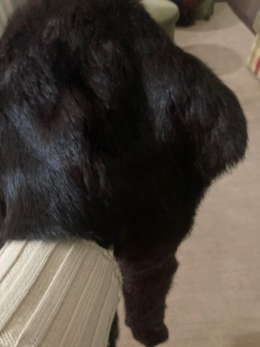 Gorro em pele de Vison com pontas -cachecol em Vison