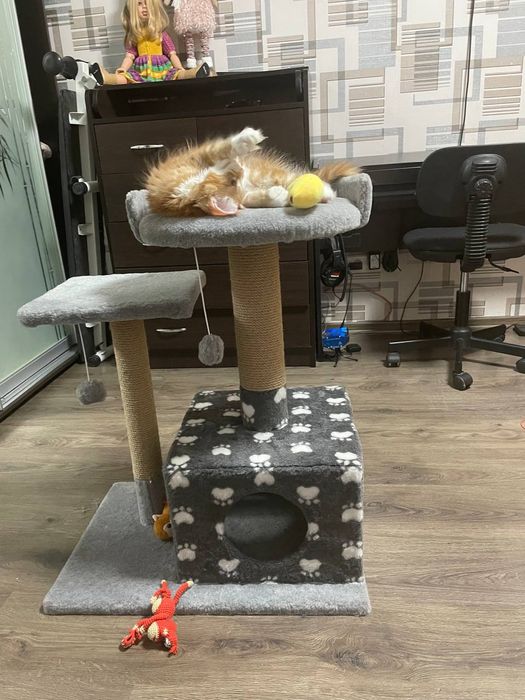 Домики лежанка когтеточка для кота кошк