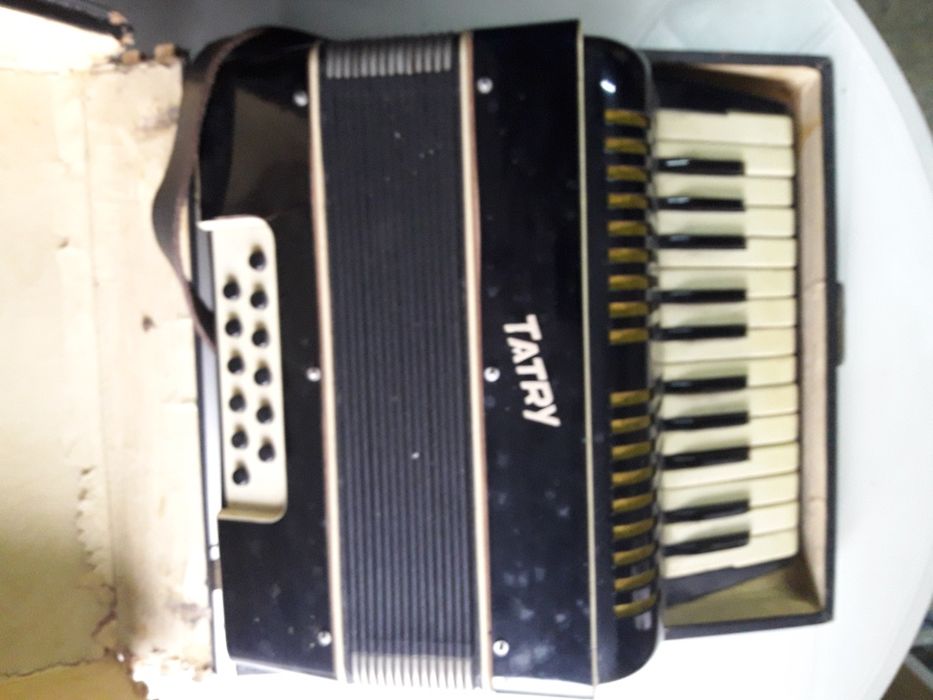 Stary akordeon Tatry