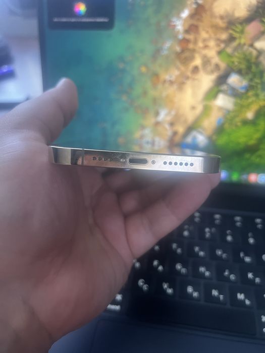 Iphone 12 pro max