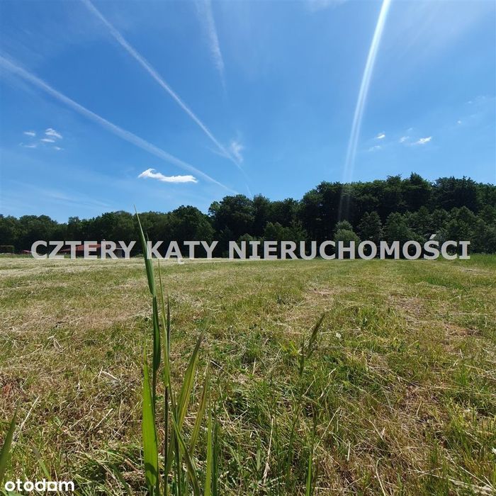 Sąsiedztwo lasu!