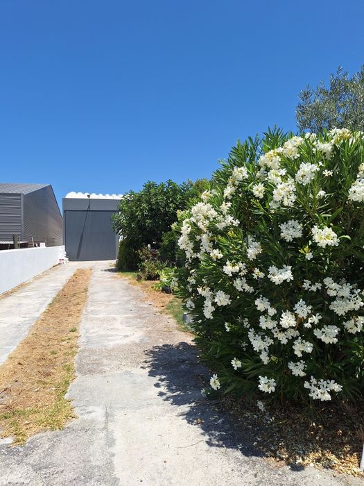 Armazém - zona de Grândola - Venda/Arrendamento