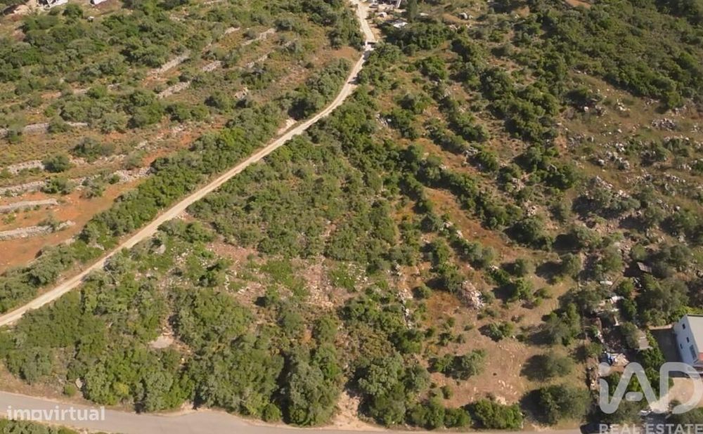Terreno em Conceição e Estoi de 6240,00 m2