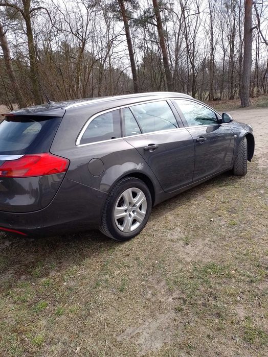 Opel Insignia, salon polska