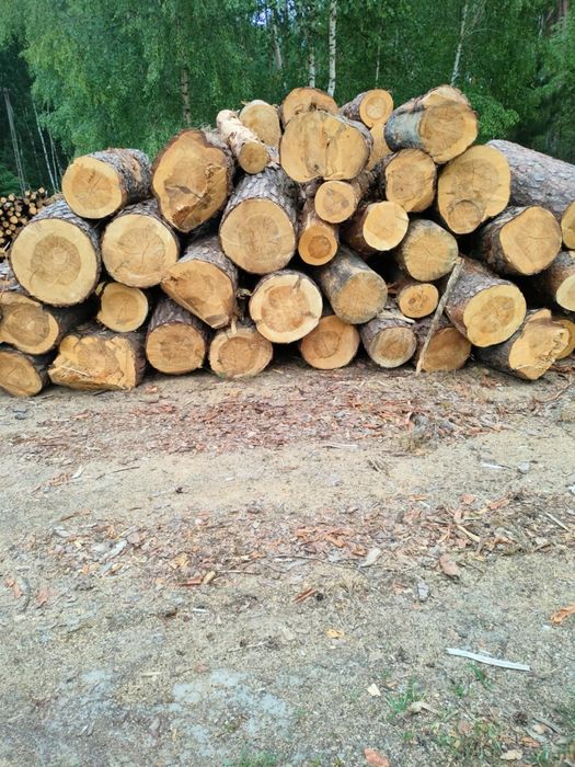 Sprzedam drewno opalowe grube