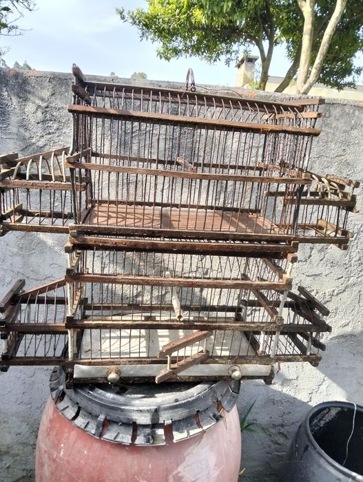Gaiolas usadas para pássaros