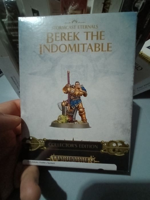 Berek the Indomitable Stormcast Eternals Warhammer AoS Witoldzin