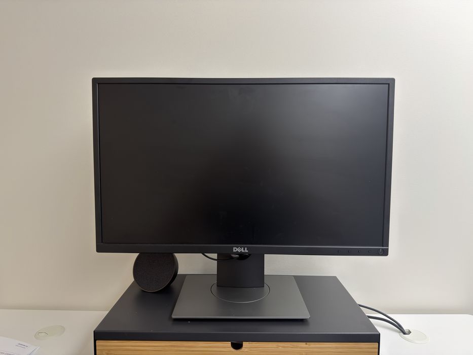 Monitor Dell P2317H