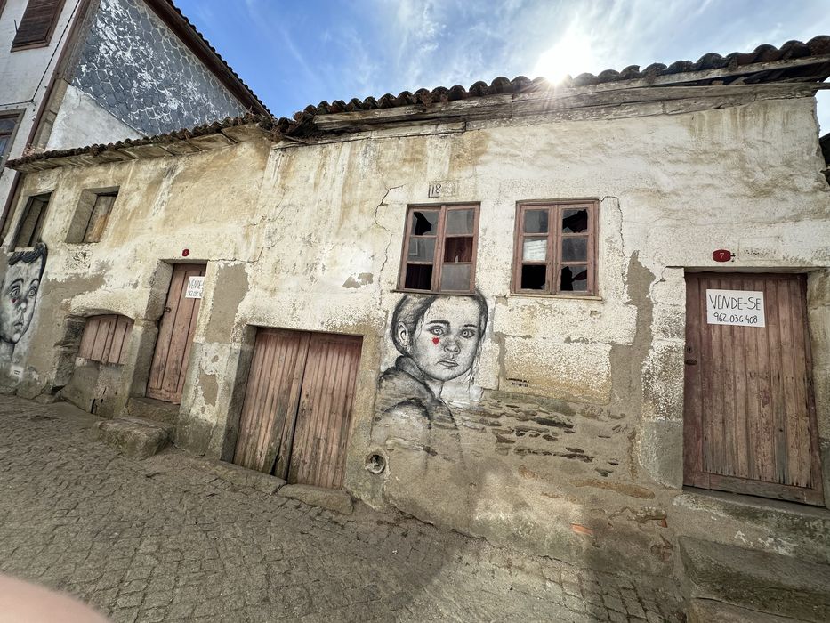Oportunidade na Aldeia Vinhateira de Trevões (Douro)