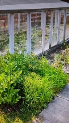 Ogrodek dzialkowy Kepno