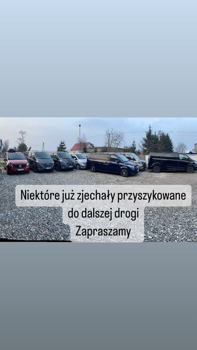 Wynajem Wypozyczalnia BUS BUSA BUSÓW  7/8/9os Mercedes  Ford  Automat