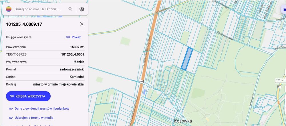 DO SPRZEDAŻY Działka rolnicza w Kamieńsku - Widok 2