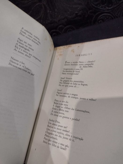A Noiva que o Sol roubou "Poemas de Max Esaguy Wartenberg"
