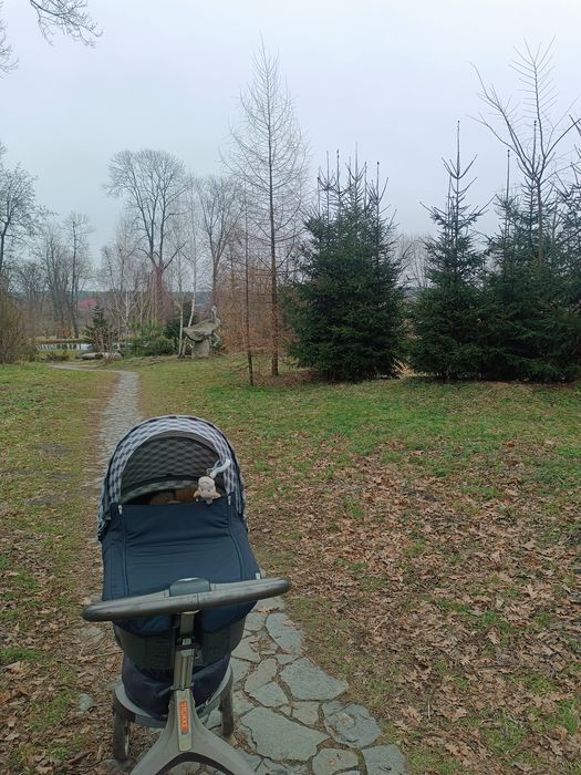 Каляска 2 в 1 Stokke