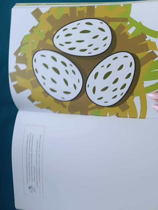 "Kolorowanka"- sprawność manualna- nowa książeczka edukacyjna - 3 lata