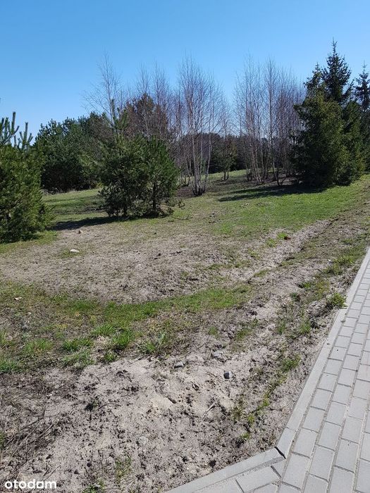 Piękna działka 1234 m² | MPZP | blisko Trójmiasta | bezpośrednio - Więcej