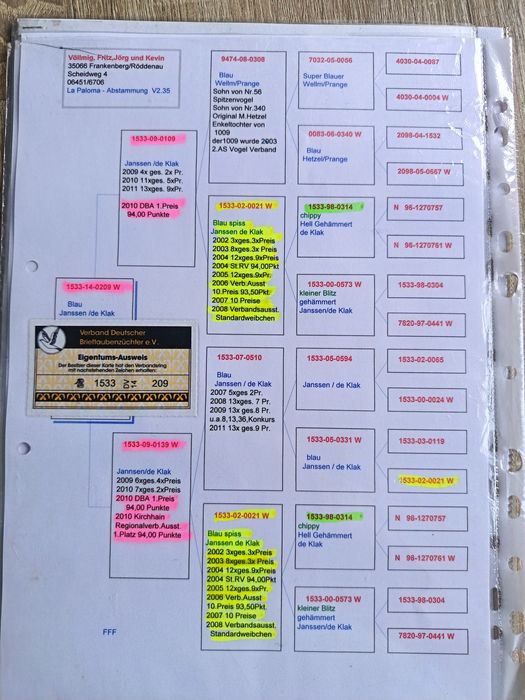 Golebie pocztowe w linii