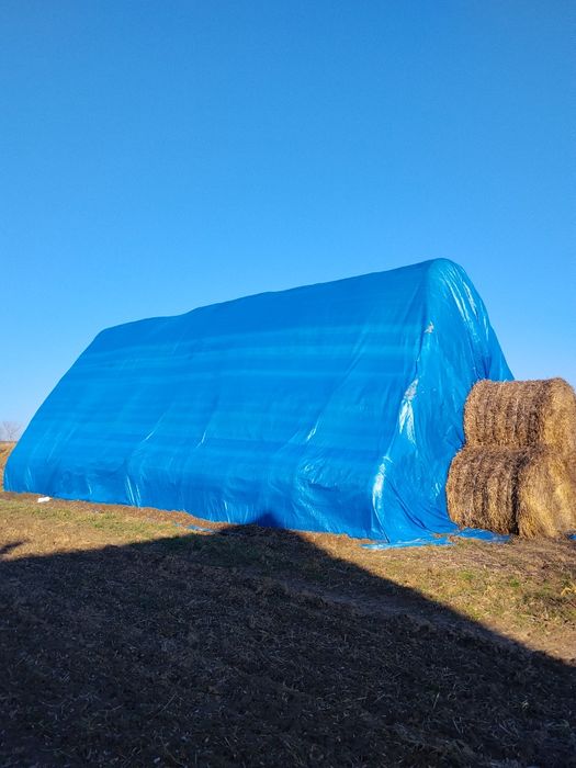 Słoma sucha jęczmienna