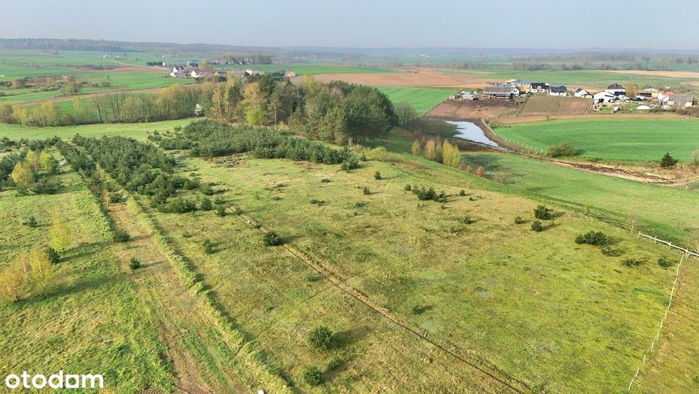 Działki budowlane w Zakrzewie na wzgórzu!