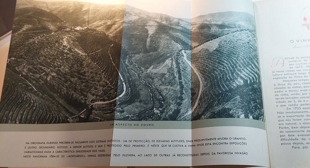 O Vinho do Porto - José Joaquim da Costa Lima (2ª edição, 1937)